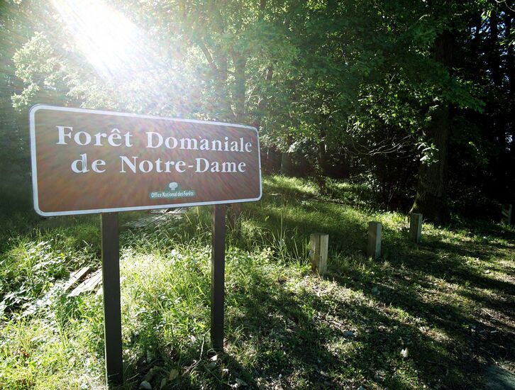 Risque incendie élevé : des restrictions s'appliquent dans nos bois et forêts