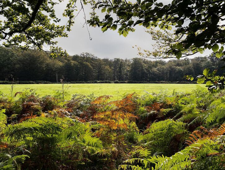 Chasse en forêt de Notre-Dame – Saison 2025-2026