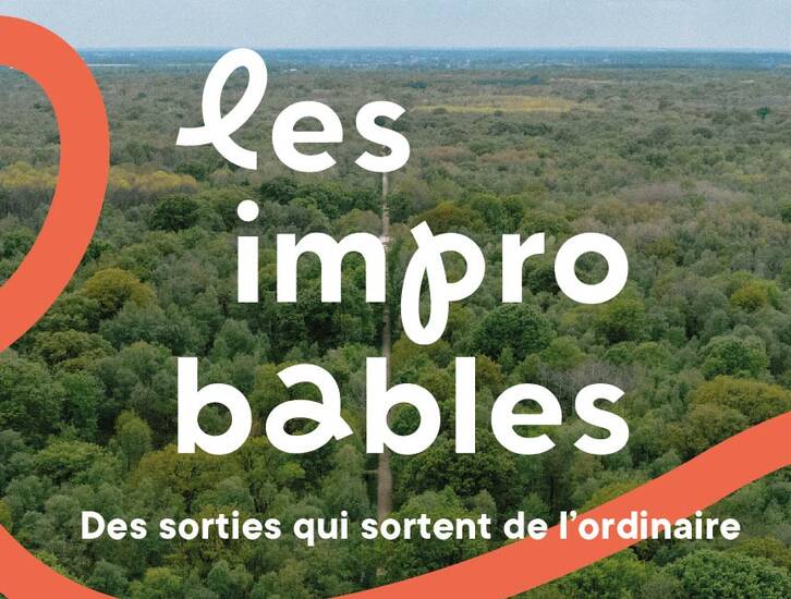 Les improbables de GPSEA 